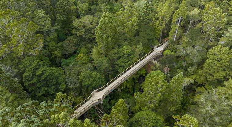 DWS Walking Group - Kauri Glen Reserve 