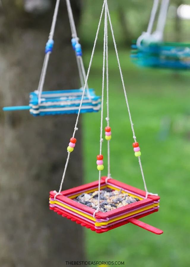 Bird Feeder