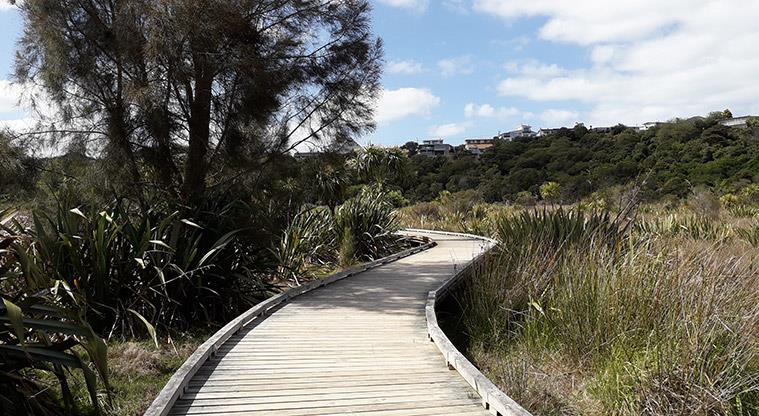 image for ​Deaf Wellbeing Social Walking group - Onepoto Path 