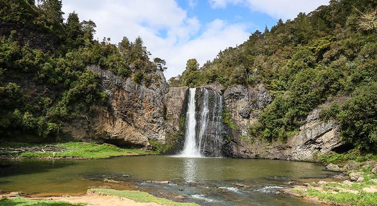 DWS Walking Group - Hunua Falls Track