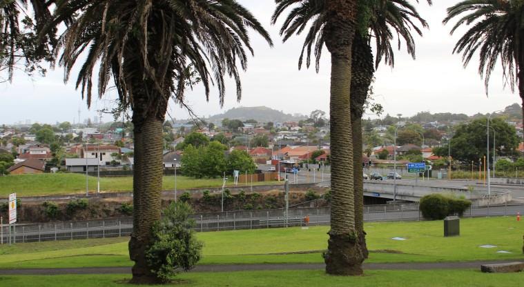 DWS Walking Group - Mt Roskill Path 