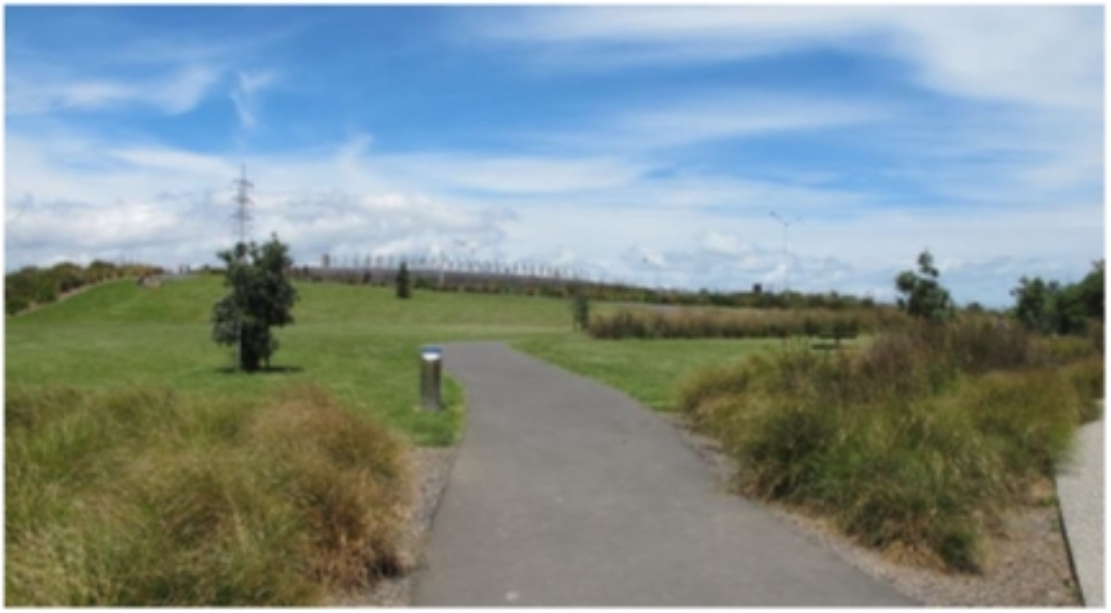 ​Deaf Wellbeing Social Walking group  Onehunga Bay to Waikowahi