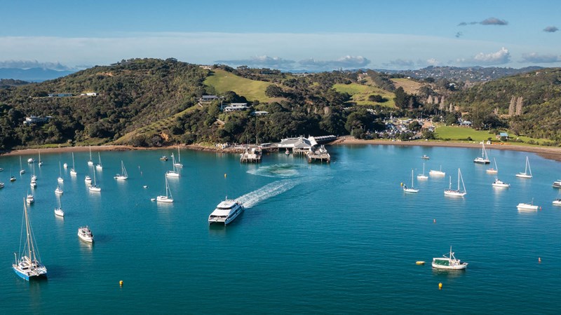 DWS Walking Group - Waiheke Island